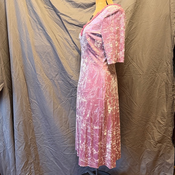 Pink Lace-Trim Soft Crushed Velvet Betsey Johnson Dress with Rose Appliques - Picture 3 of 5